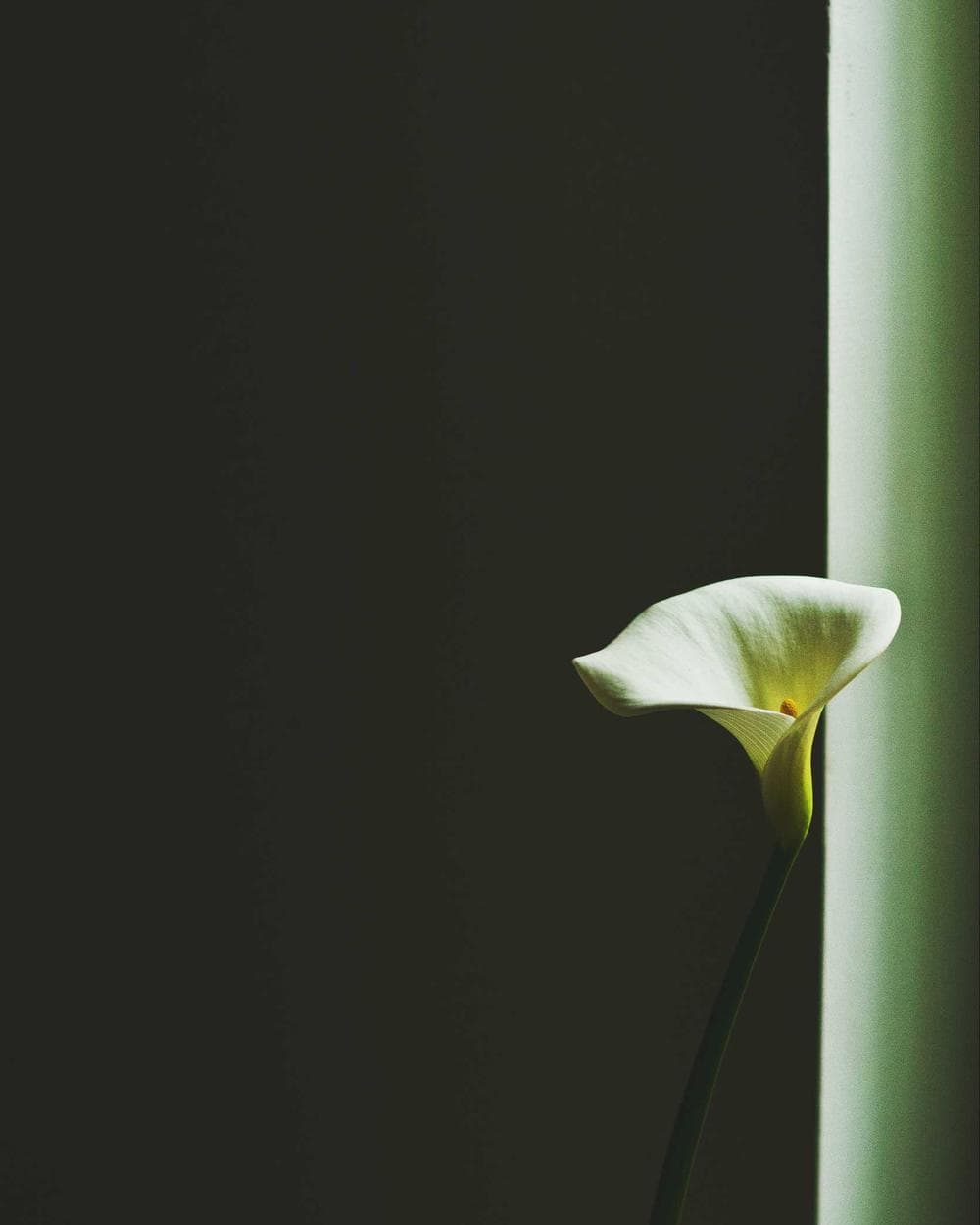 The Dressly atelier